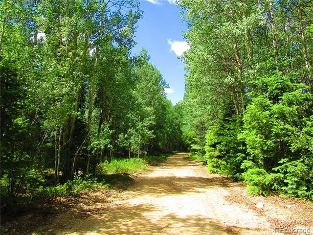 Lot 6473 Malcolm Road San Luis, CO 81152
