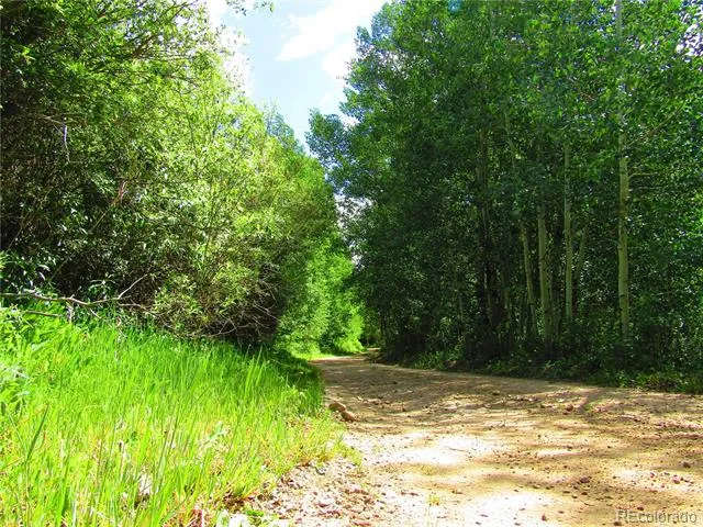 Lot 6473 Malcolm Road San Luis, CO 81152