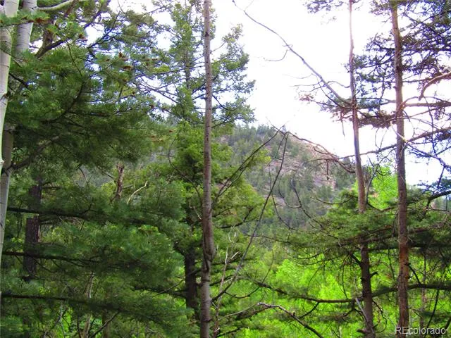 Lot 6473 Malcolm Road San Luis, CO 81152