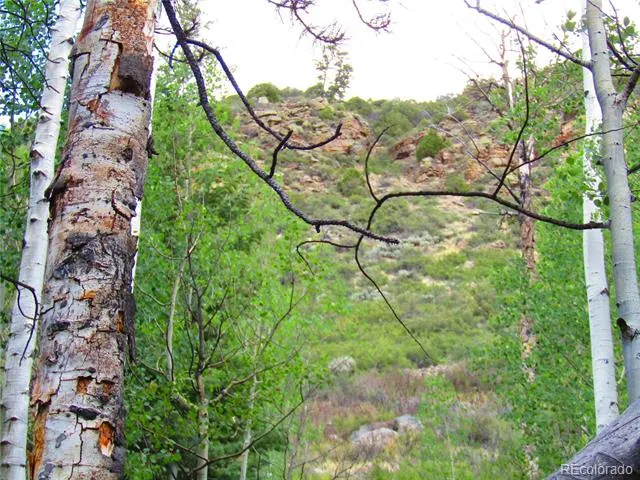Lot 6473 Malcolm Road San Luis, CO 81152
