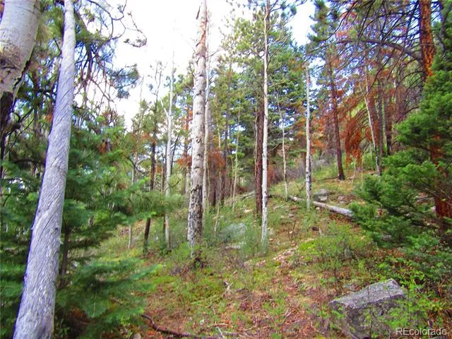 Lot 6473 Malcolm Road San Luis, CO 81152