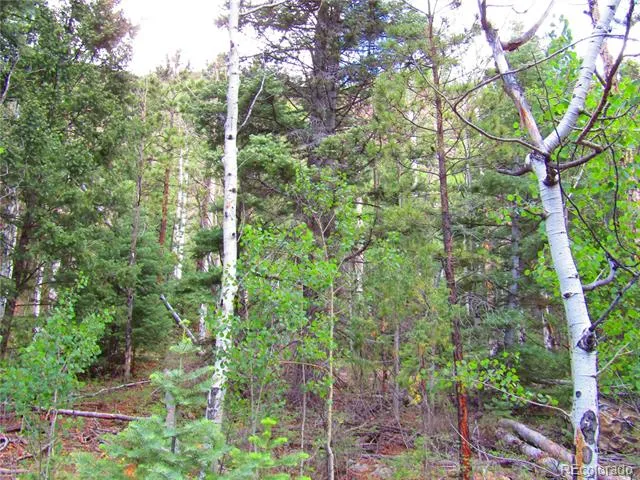 Lot 6473 Malcolm Road San Luis, CO 81152