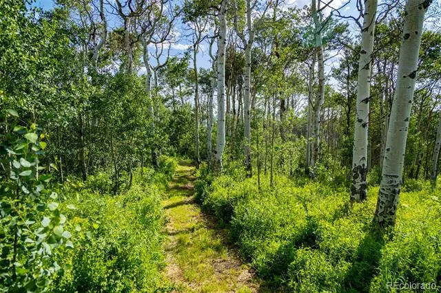 6903 Bellyache Ridge Road Wolcott, CO 81655