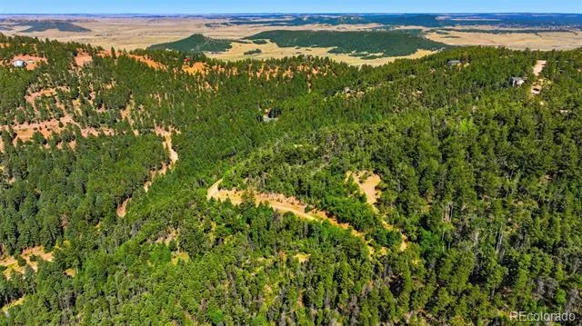 13488 S Firedog Way Larkspur, CO 80118