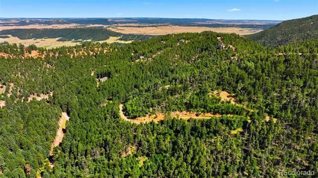 13488 S Firedog Way Larkspur, CO 80118