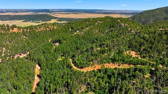 13488 S Firedog Way Larkspur, CO 80118