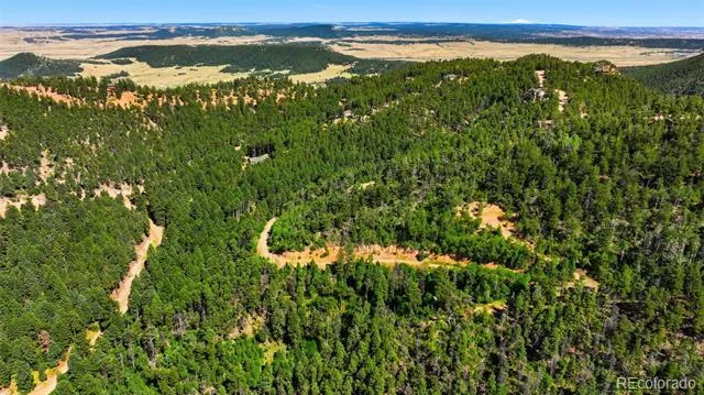 13488 S Firedog Way Larkspur, CO 80118