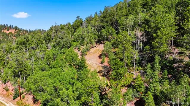13488 S Firedog Way Larkspur, CO 80118