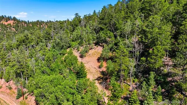 13488 S Firedog Way Larkspur, CO 80118