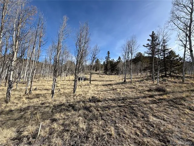32 Sugar Loaf Lane Jefferson, CO 80456