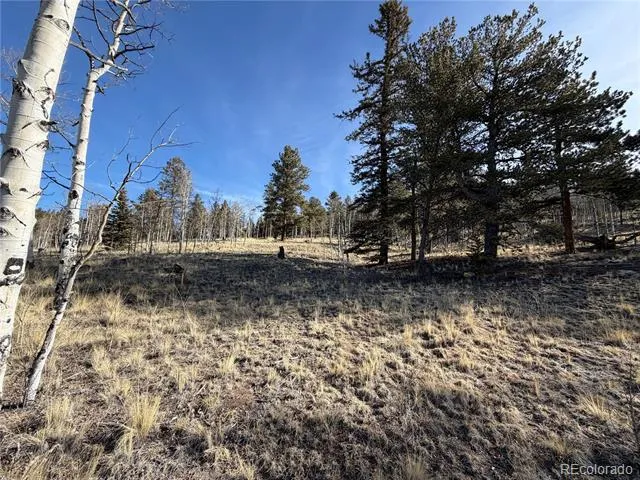 32 Sugar Loaf Lane Jefferson, CO 80456