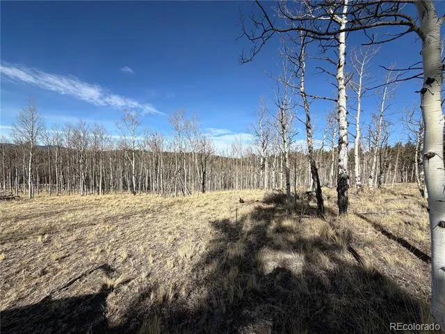 32 Sugar Loaf Lane Jefferson, CO 80456
