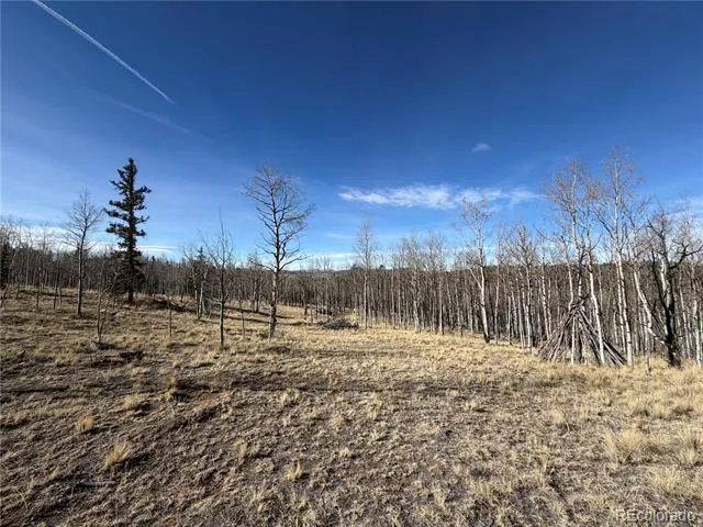 32 Sugar Loaf Lane Jefferson, CO 80456