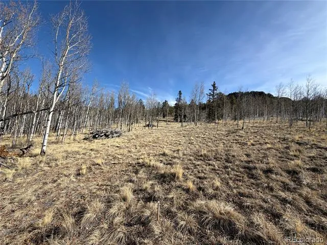 32 Sugar Loaf Lane Jefferson, CO 80456
