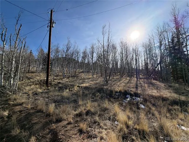32 Sugar Loaf Lane Jefferson, CO 80456
