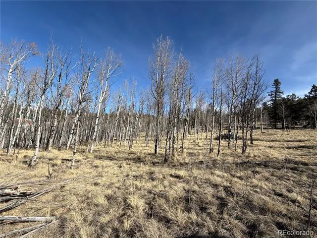 32 Sugar Loaf Lane Jefferson, CO 80456