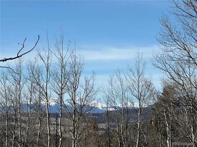 32 Sugar Loaf Lane Jefferson, CO 80456