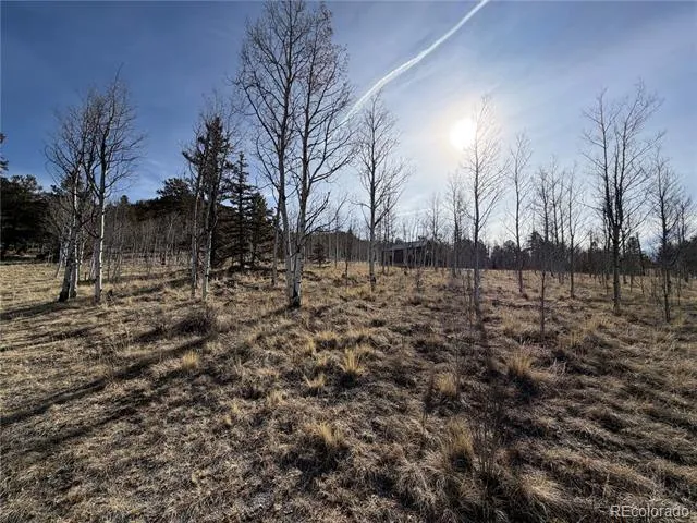32 Sugar Loaf Lane Jefferson, CO 80456