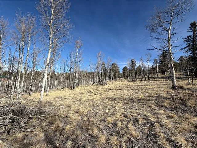 32 Sugar Loaf Lane Jefferson, CO 80456