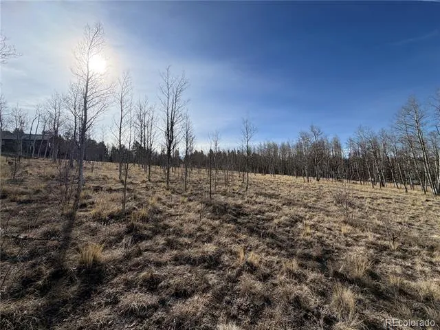 32 Sugar Loaf Lane Jefferson, CO 80456