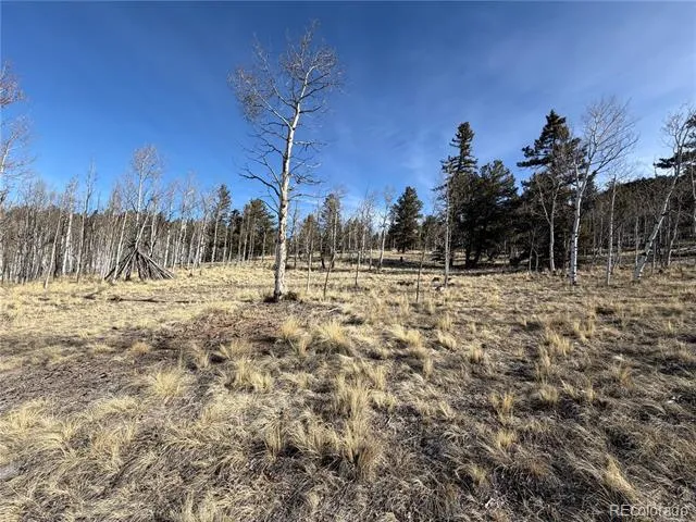 32 Sugar Loaf Lane Jefferson, CO 80456