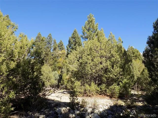 206 W Zapata Place Mosca, CO 81146