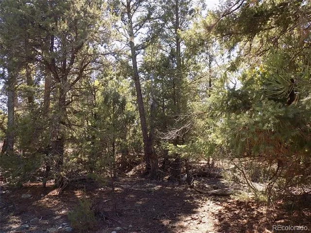 206 W Zapata Place Mosca, CO 81146