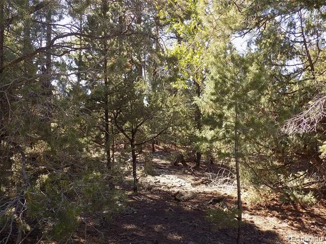 206 W Zapata Place Mosca, CO 81146