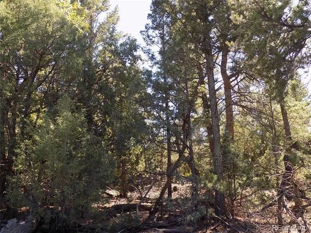 206 W Zapata Place Mosca, CO 81146