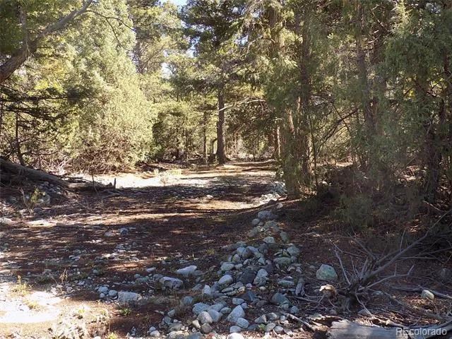 206 W Zapata Place Mosca, CO 81146