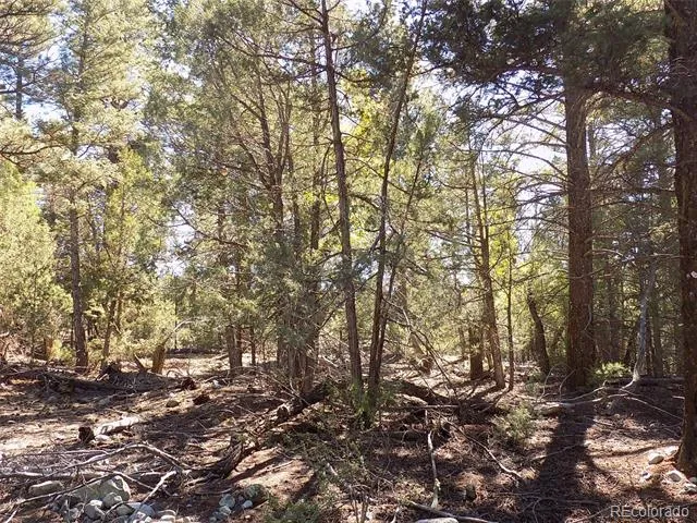 206 W Zapata Place Mosca, CO 81146