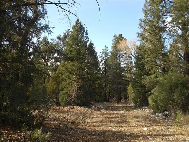 206 W Zapata Place Mosca, CO 81146
