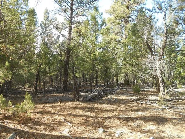 206 W Zapata Place Mosca, CO 81146