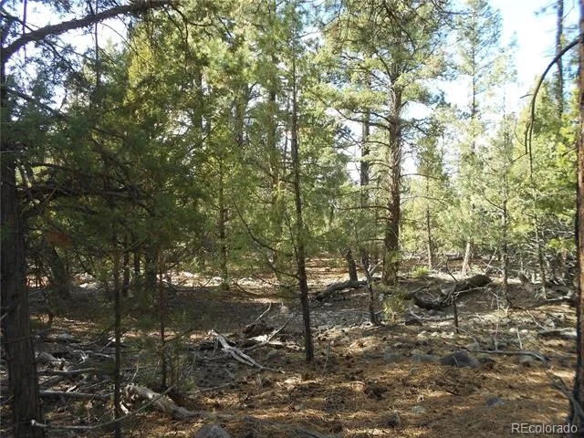 206 W Zapata Place Mosca, CO 81146