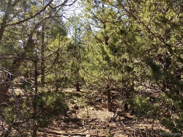 206 W Zapata Place Mosca, CO 81146