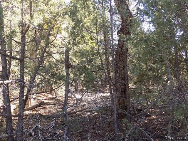 206 W Zapata Place Mosca, CO 81146