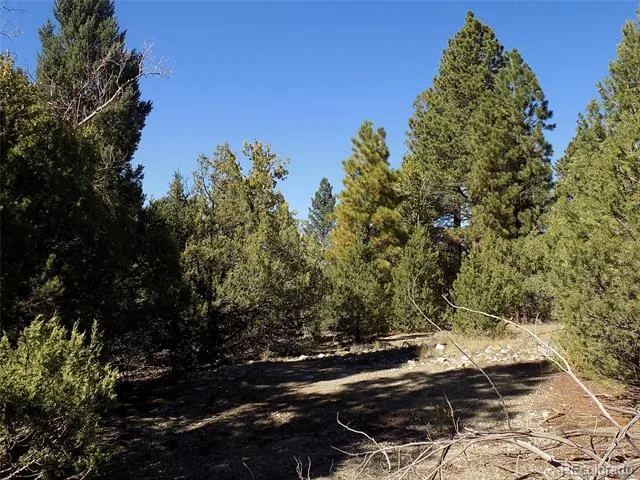 206 W Zapata Place Mosca, CO 81146