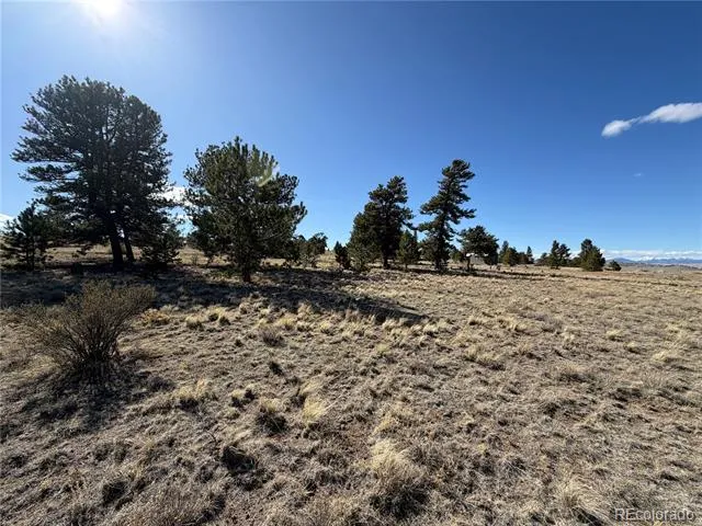 616 Guipago Trail Hartsel, CO 80449