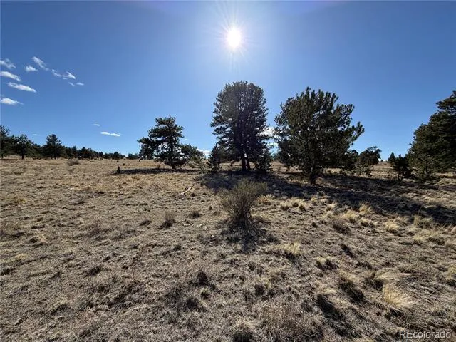 616 Guipago Trail Hartsel, CO 80449