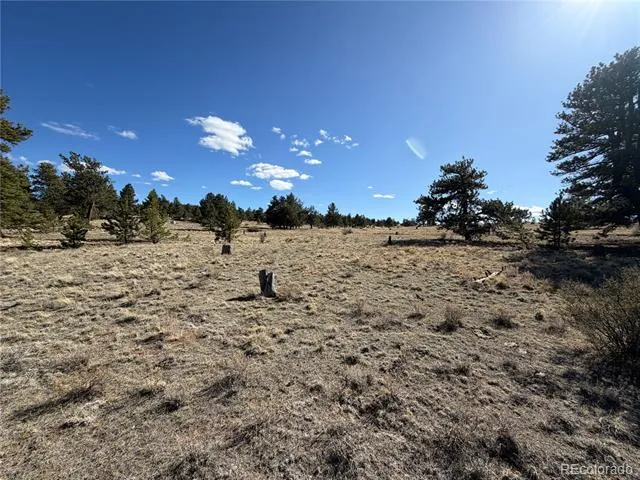 616 Guipago Trail Hartsel, CO 80449