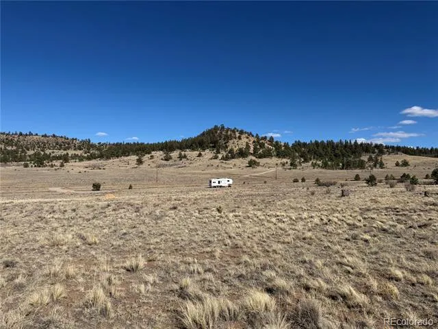 616 Guipago Trail Hartsel, CO 80449
