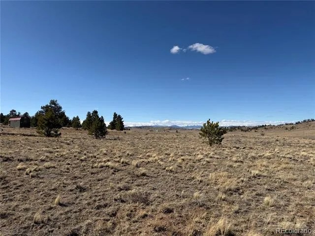 616 Guipago Trail Hartsel, CO 80449