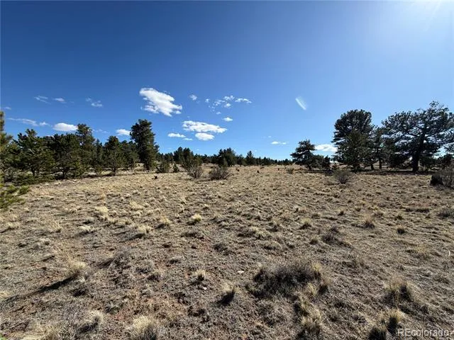 616 Guipago Trail Hartsel, CO 80449