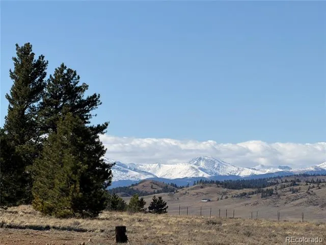 616 Guipago Trail Hartsel, CO 80449