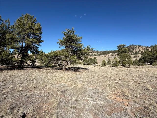 616 Guipago Trail Hartsel, CO 80449