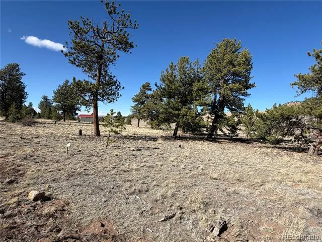 616 Guipago Trail Hartsel, CO 80449