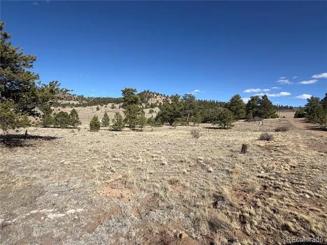 616 Guipago Trail Hartsel, CO 80449