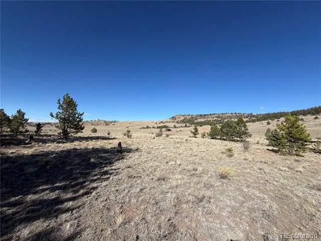 616 Guipago Trail Hartsel, CO 80449