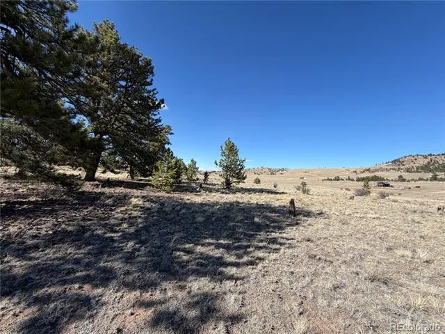 616 Guipago Trail Hartsel, CO 80449