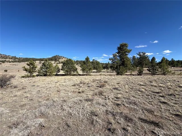 616 Guipago Trail Hartsel, CO 80449